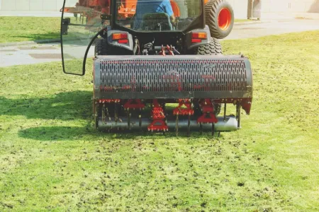 core aeration with soil plugs