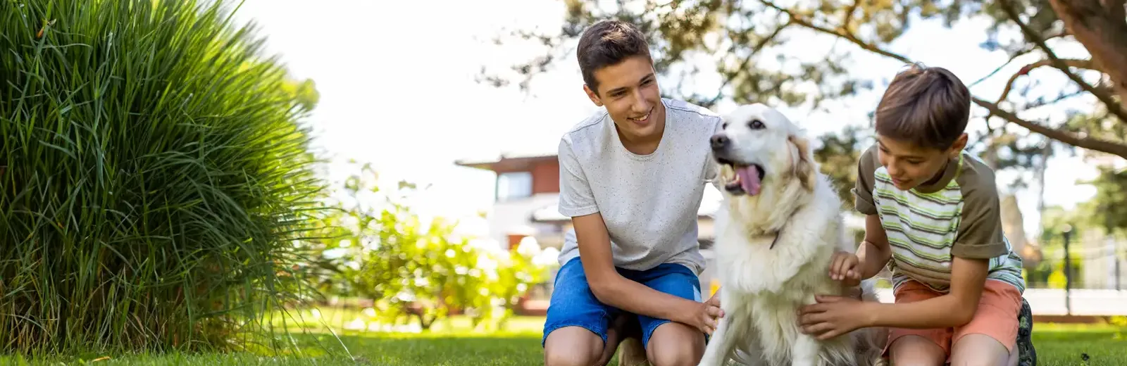 boys playing with dog in front lawn