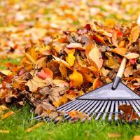 Fall Lawn Care