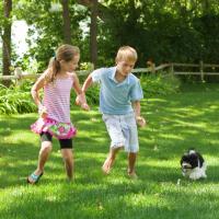 Two children playing in the lawn with their dog.