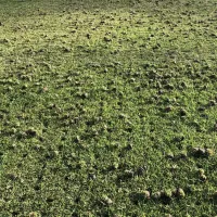 aeration-holes