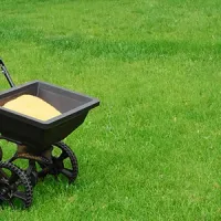 spring-fertilization