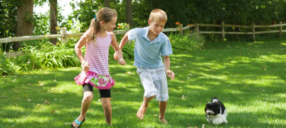 Two children playing in the lawn with their dog.