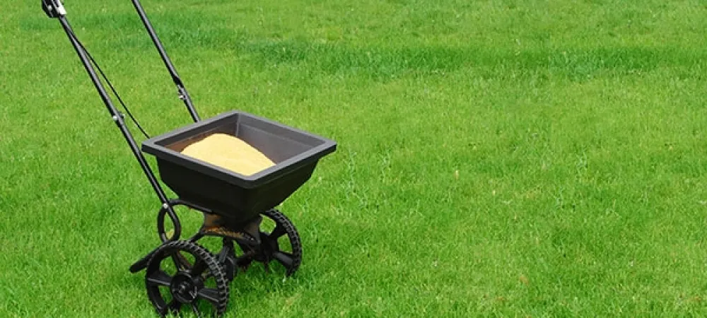 spring-fertilization