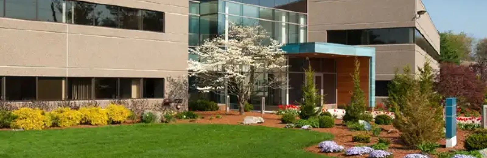 green grass commercial lawn care